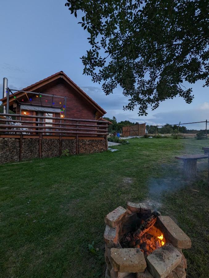Cabana Nyiko Cu Ciubar Villa Lupeni  Exterior photo